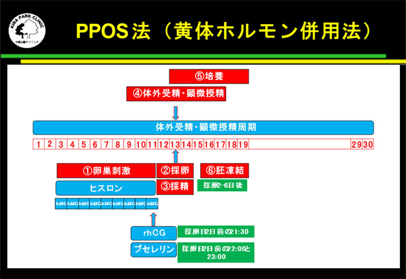 PPOS法（黄体ホルモン併用法）
