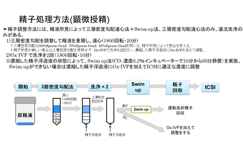 精子処理方法（顕微授精）