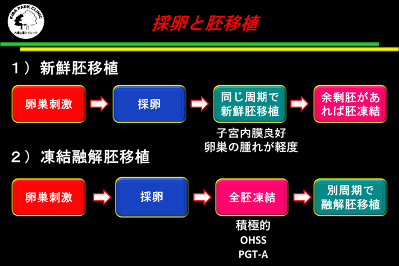 採卵と胚移植