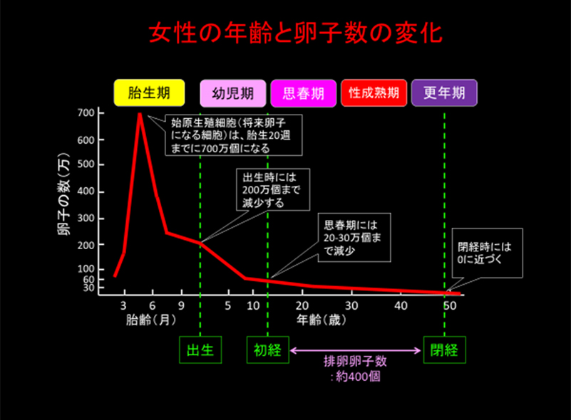 女性の年齢と卵子数の変化