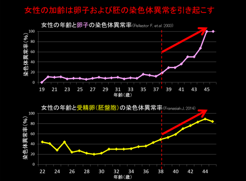 女性の加齢は卵子と胚の染色体異常を引き起こす