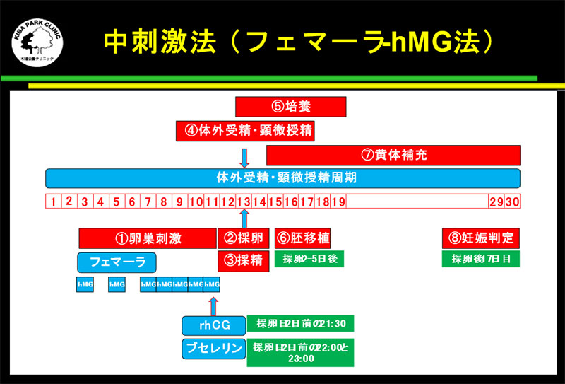 中刺激法（フェマーラとhMG注射を使用した卵巣刺激法）