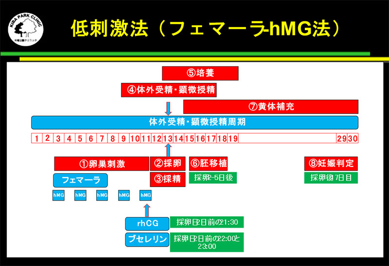 低刺激法(フェマーラ-hMG法)