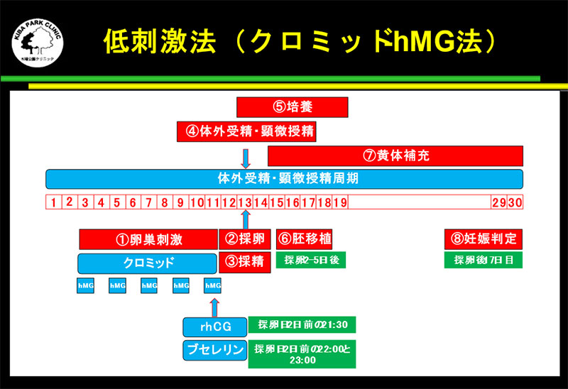 低刺激法(クロミッド-hMG法)